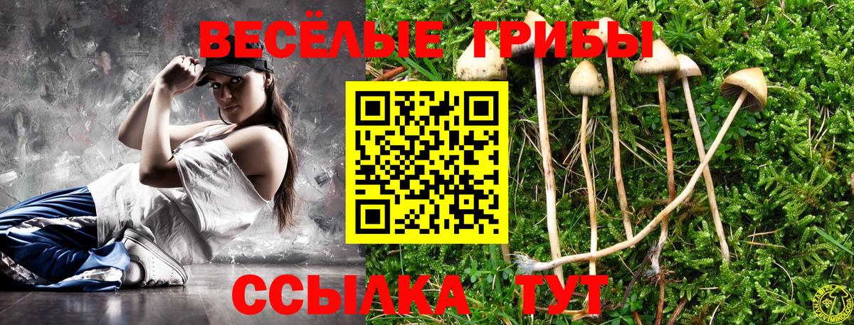 Иваново  Псилоцибиновые грибы MAGIC MUSHROOMS  Вход с VPN 